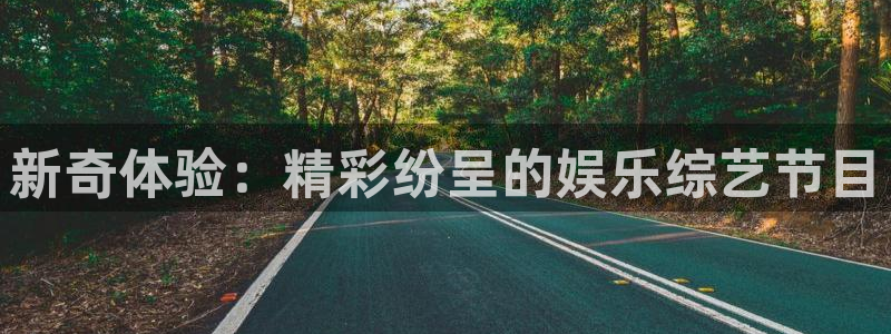 超凡国际下载：新奇体验：精彩纷呈的娱乐综艺节目