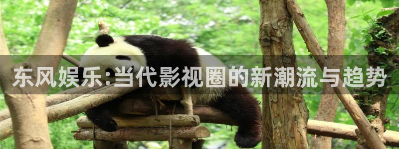 超凡国际app官方下载：东风娱乐:当代影视圈的新潮流与趋势